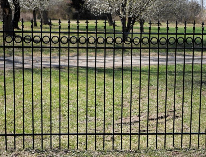 Iron Fence near Gunter